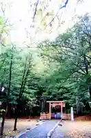 北海道神宮の鳥居