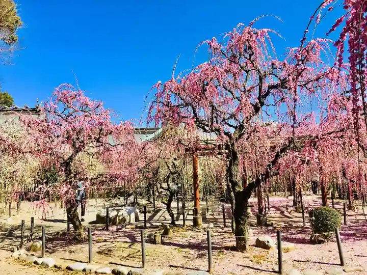 結城神社(三重県)
