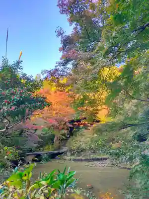 不退寺(奈良県)