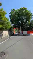 賀茂御祖神社(下鴨神社)(京都府)