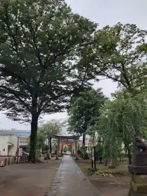 上町氷川神社の鳥居