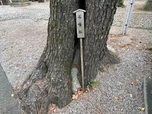 聖武天皇社(三重県)