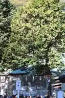 調神社(埼玉県)