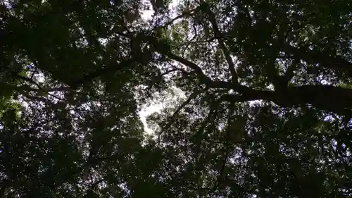 伊雜宮（皇大神宮別宮）(三重県)