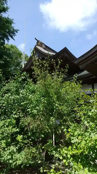 茂原八幡神社の本殿・本堂