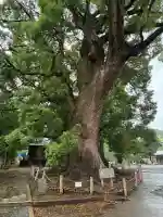 天地神社(静岡県)