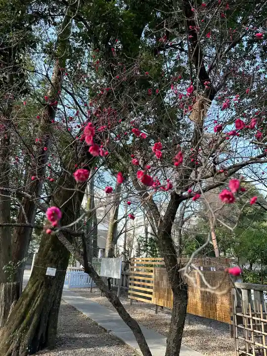 布多天神社(東京都)