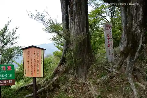 大山阿夫利神社本社の自然