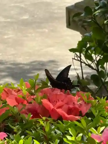 大船観音寺(神奈川県)