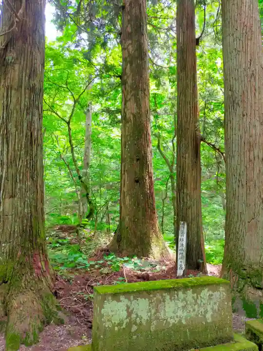 隠津島神社の自然