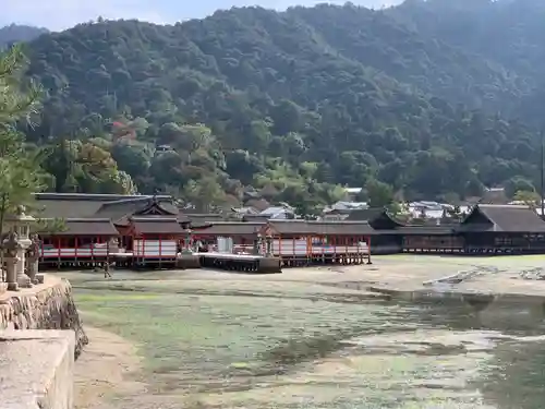 厳島神社の景色