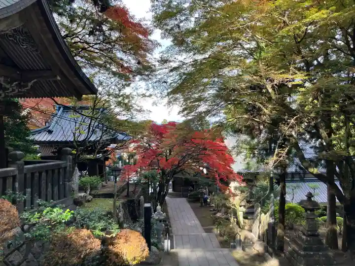 最乗寺(道了尊)(神奈川県)