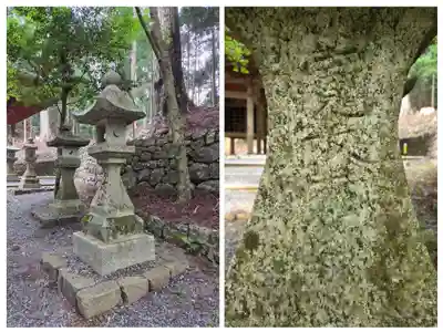 秋葉山本宮 秋葉神社 上社(静岡県)