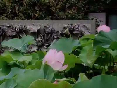 長善寺(東京都)