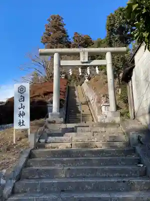 白山神社(東京都)