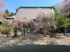 妙蓮寺(静岡県)