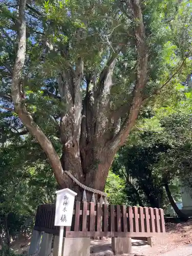 安房神社(千葉県)