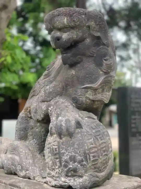 中野沼袋氷川神社の狛犬