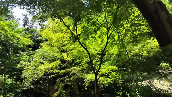 賀茂御祖神社(下鴨神社)(京都府)
