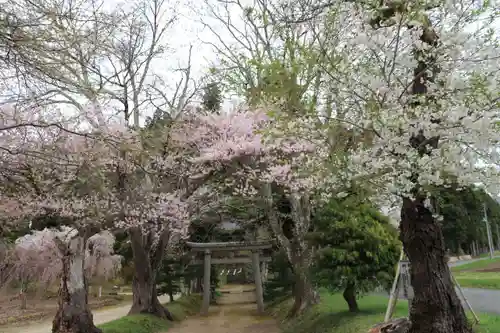 白幡八幡神社の鳥居