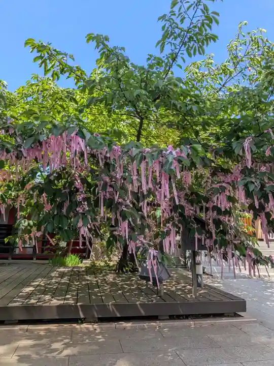 桜神宮(東京都)