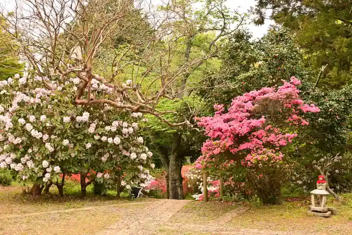 正福寺(茨城県)