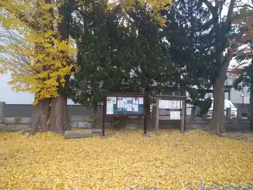 龍ケ崎八坂神社の景色