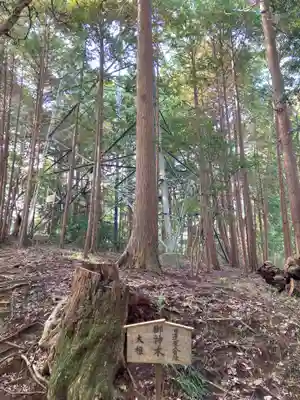 日蓮大聖人経塚・道善御房供養塚(妙長寺 奥の院 加名盛祖師堂)(千葉県)