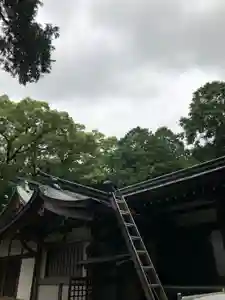 白山神社(愛媛県)(2020年07月12日(日) 21時58分55秒投稿)