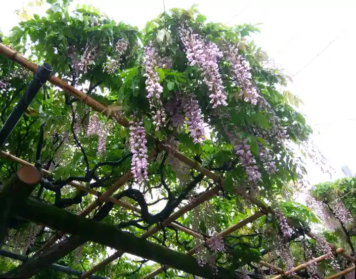 神田神社(神田明神)(東京都)