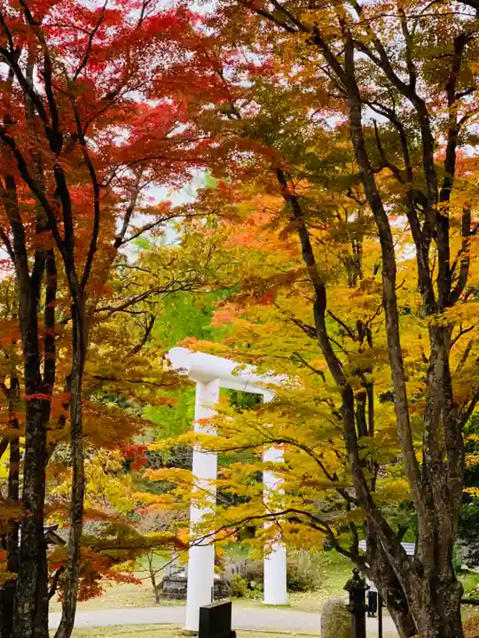 土津神社|こどもと出世の神さまの自然