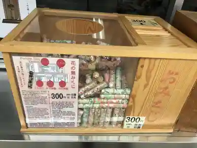 花園神社のおみくじ