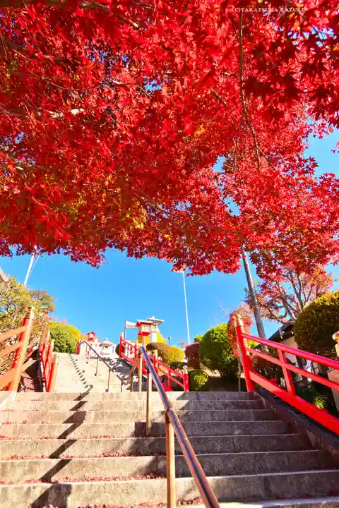 足利織姫神社(栃木県)