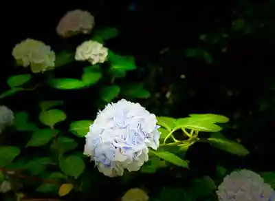 生田神社(兵庫県)