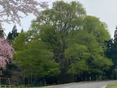 岡谷稲荷神社の自然