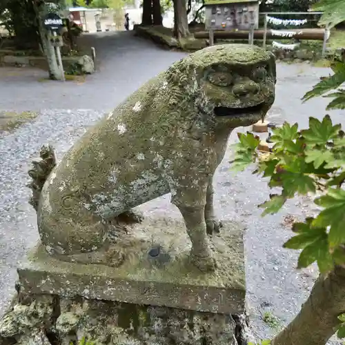 温泉神社の狛犬