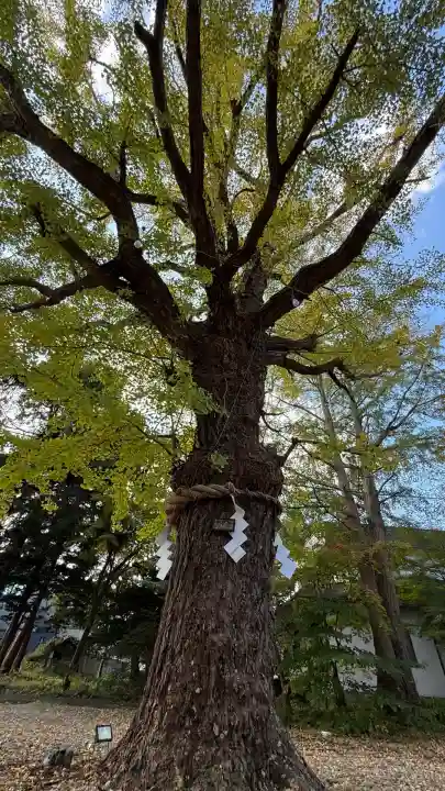 有川大神宮(北海道)