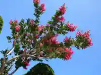 極楽山 浄土寺の自然