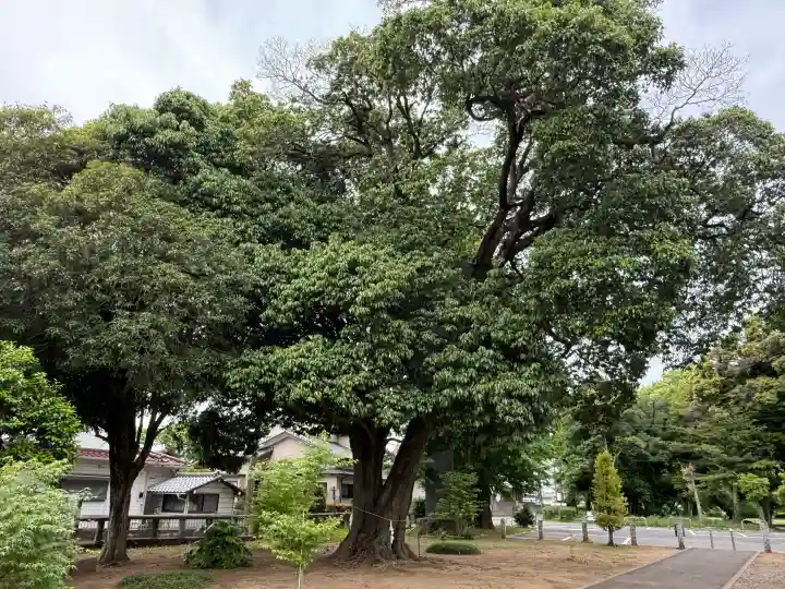 秋葉神社の{uncategorized: "未分類", other: "その他", undefined: "問題あり", building: "その他建物", grave: "お墓", sacred_gate: "鳥居", guardian: "狛犬", statue: "像", buddha: "仏像", history: "歴史", nature: "自然", garden: "庭園", animal: "動物", pagoda: "塔", temizu: "手水舎", mountain_gate: "山門・神門", sanctuary: "本殿・本堂", subordinate: "末社・摂社", art: "芸術", scenery: "景色", jizo: "地蔵", ema: "絵馬", goshuin: "御朱印", omikuji: "おみくじ", items: "授与品その他", amulet: "お守り", goshuincho: "御朱印帳", eats: "食事", festival: "お祭り", votive_dance: "神楽", shichigosan: "七五三参", wedding: "結婚式", experience: "体験その他", initially: "初詣", around: "周辺", anti_infection: "感染症対策"}