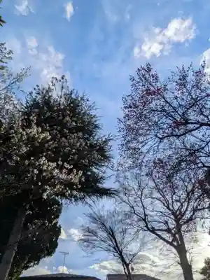 田端神社(東京都)