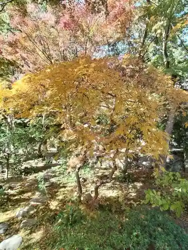 覚園寺(神奈川県)