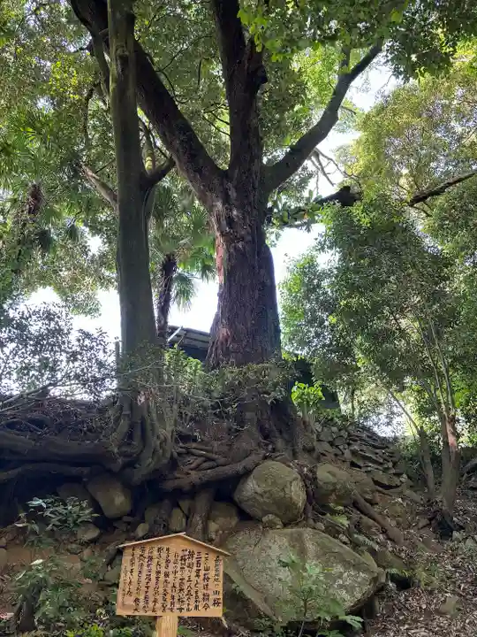 五所駒瀧神社(茨城県)