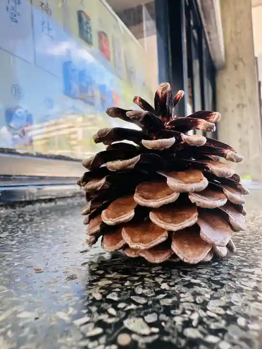 福井神社(福井県)