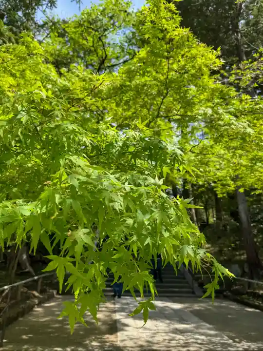 円覚寺の{uncategorized: "未分類", other: "その他", undefined: "問題あり", building: "その他建物", grave: "お墓", sacred_gate: "鳥居", guardian: "狛犬", statue: "像", buddha: "仏像", history: "歴史", nature: "自然", garden: "庭園", animal: "動物", pagoda: "塔", temizu: "手水舎", mountain_gate: "山門・神門", sanctuary: "本殿・本堂", subordinate: "末社・摂社", art: "芸術", scenery: "景色", jizo: "地蔵", ema: "絵馬", goshuin: "御朱印", omikuji: "おみくじ", items: "授与品その他", amulet: "お守り", goshuincho: "御朱印帳", eats: "食事", festival: "お祭り", votive_dance: "神楽", shichigosan: "七五三参", wedding: "結婚式", experience: "体験その他", initially: "初詣", around: "周辺", anti_infection: "感染症対策"}