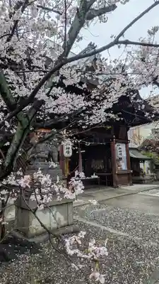 天孫神社(滋賀県)