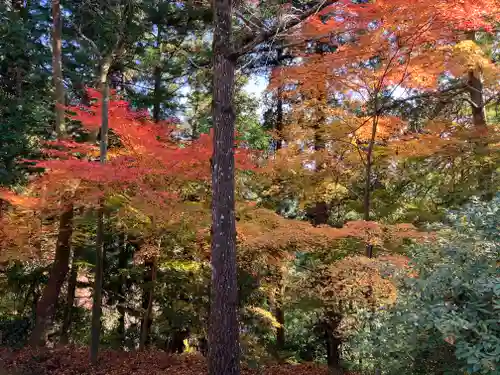 鞆淵八幡神社の自然