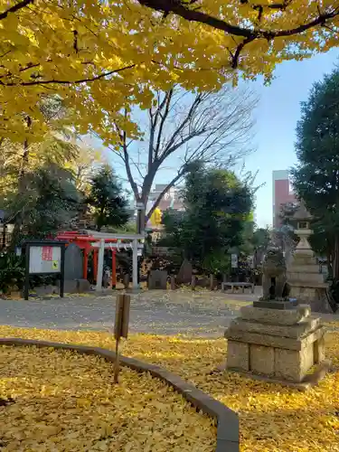 鳩森八幡神社の庭園