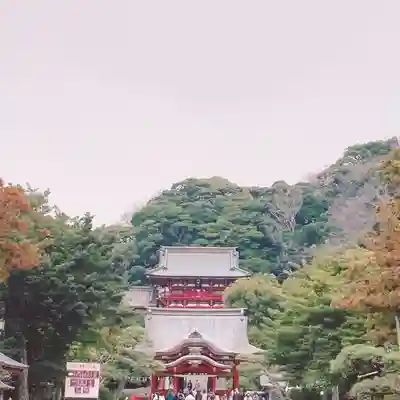 鶴岡八幡宮(神奈川県)