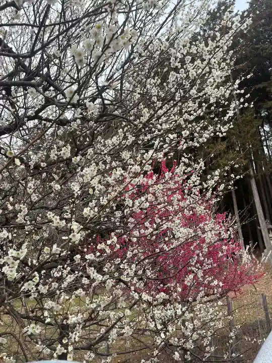 岩津天満宮(愛知県)