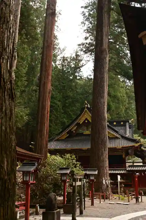 日光二荒山神社(栃木県)